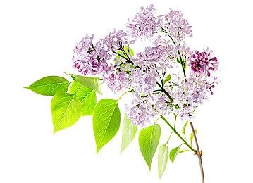 《超越善恶2》还活着 育碧称正在积极开发